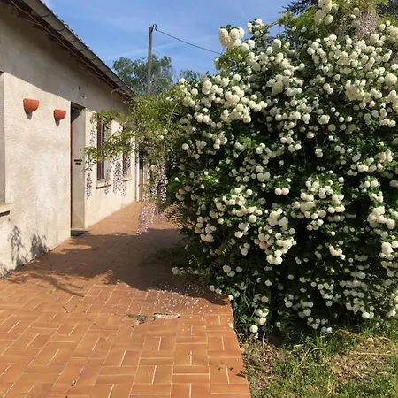 Сasa de vacaciones La